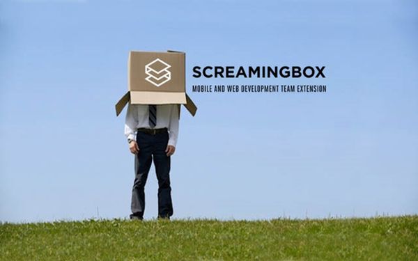 Article illustration for What is Screamingbox?